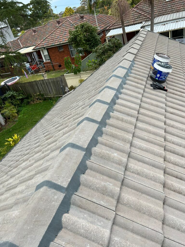 Roof Cleaning Services in Sydney