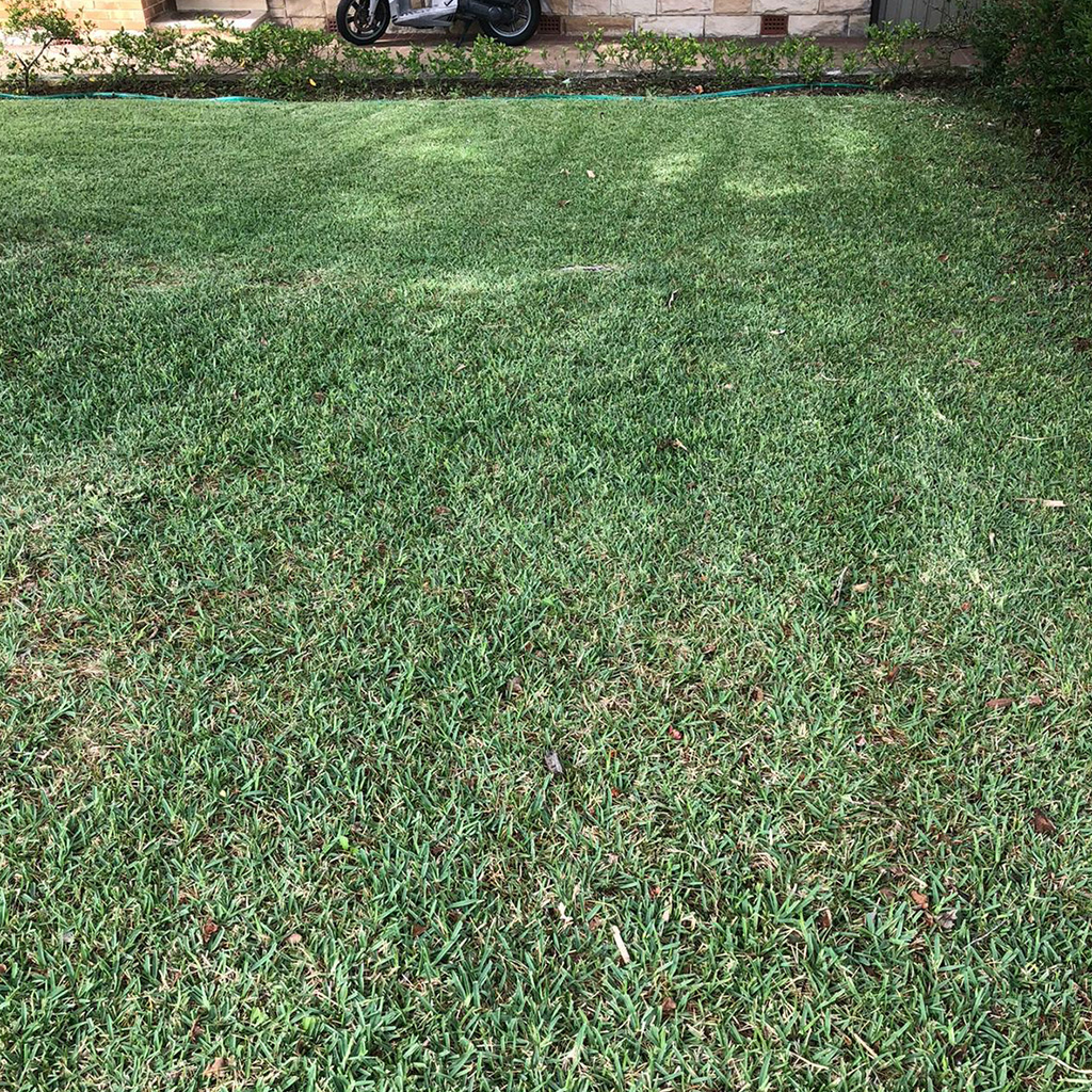 Lawn Mowing in Carlingford Lawn Mowing in Carlingford