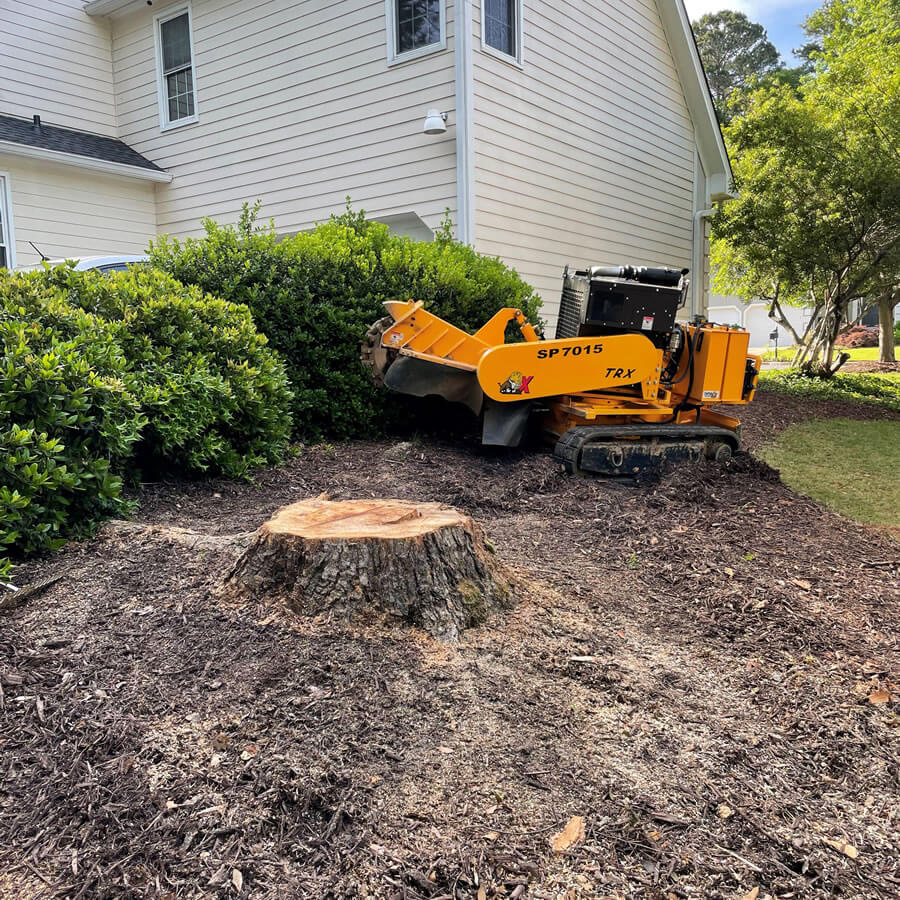 Stump Grinding in Dickson Stump Grinding in Dickson