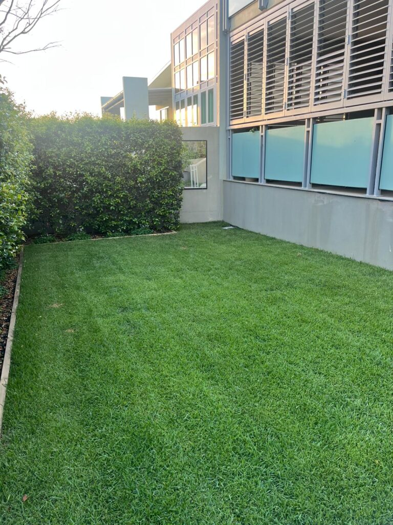Turfing in Brisbane